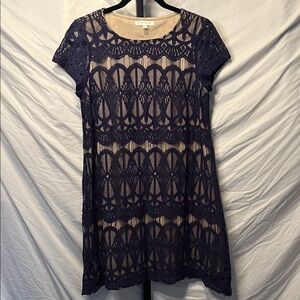 Love, Fire Navy Lace Overlay Dress (BIN3)